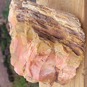 4lbs 14.6oz Az rainbow chunk petrified wood specimen